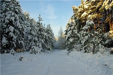 《街头霸王6》Steam页面上线 2023年发售可加入愿望单